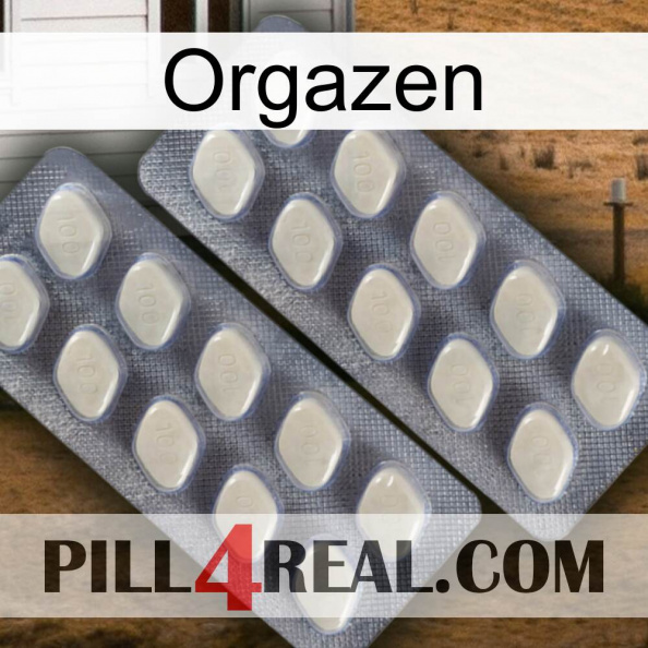 Orgazen 07.jpg